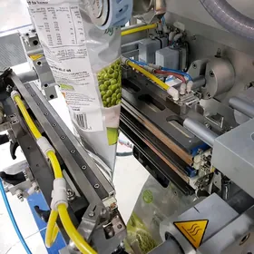 Gaplaýjy (upakowka) satanoklar