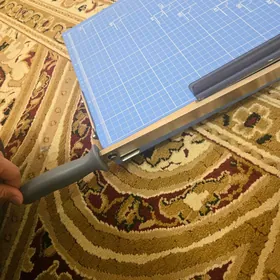 dolphin kagyz kesyan