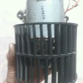 Opel pejka wintilatyr