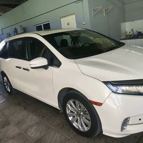 Honda Odyssey 2022