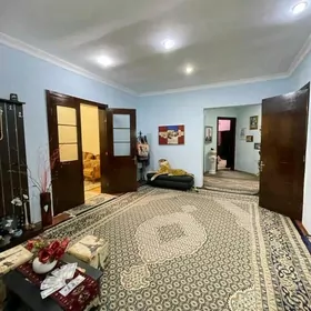 14 Tapgyr elitka 5 komnat