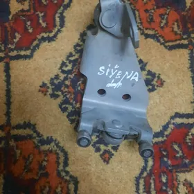 SIÝENNA PETLE ULY GAPYÑKY