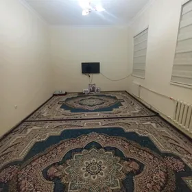 satlyk elitka jaý  A.Hanjaýew