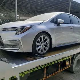 Toyota Corolla 2020
