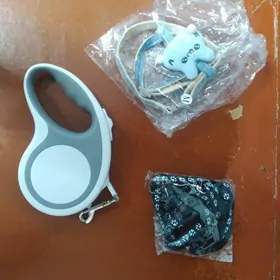 Ошейники для собак