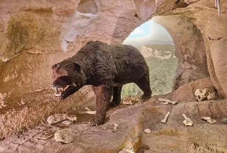 Russiýada 6 million ýyl öň ýaşap geçen äpet aýynyň galyndylary tapyldy