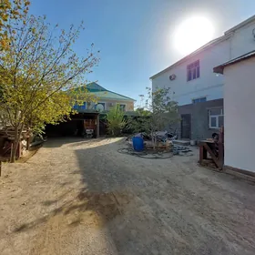 ️satlyk jay anew️