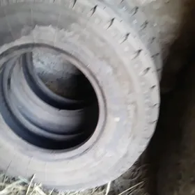 zil aýak kamyry fililiri bilen