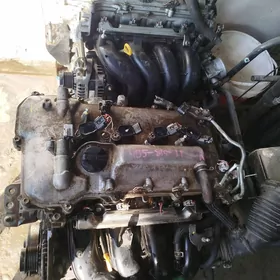 carolla dual mator MORDA