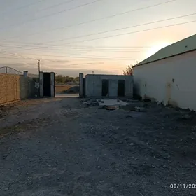 Artyk Ekinçilik mallarçylyk