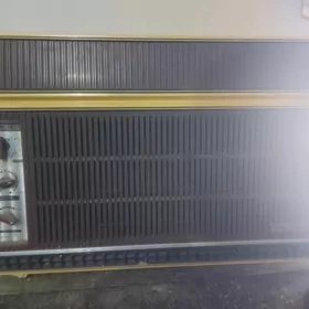 бека канцанер