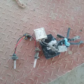 sinon lampa yagdayy gowy