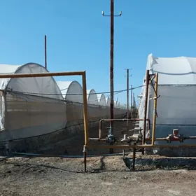 Ýyladyshana Teplisa