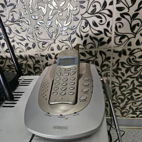 domasniy telefon