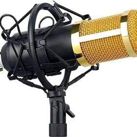 MIKROFON WE SES KART