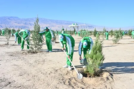 Türkmenistanda güýzki bag ekmek möwsüminiň çäklerinde on müňlerçe bag nahallary oturdyldy