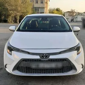 Toyota Corolla 2020