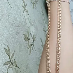 gyzyl sepocka kardinal