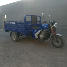 Fekon FK200-14G 2022