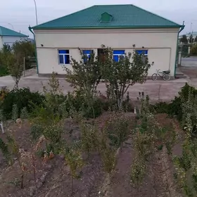 Satlyk jaÿ Altyn sâhra