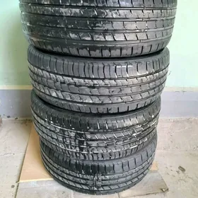 haylander pakryska turkunki