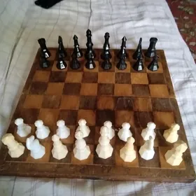 Шахматы СССР