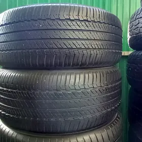 245-55-19 bridgestone