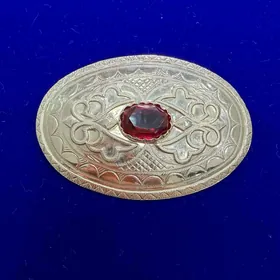 gyzyl gadym gapak brosga