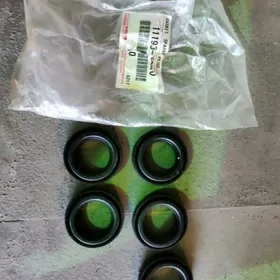 4Runner 2002 sweç salnik