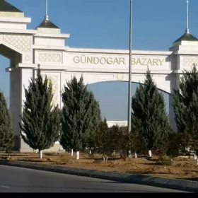 altyn asyr gundogar bazary C