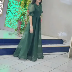 вечерный койнек