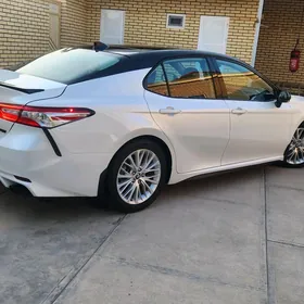 Toyota Camry 2020