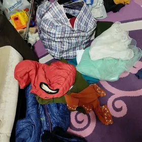 satlyk geŷilen eśikler