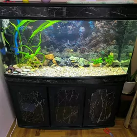 Akwarium/аквариум