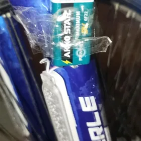 Welesipediň batyreýi