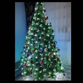 Täze ýyl ýolkasy.