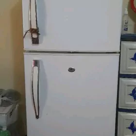 general holadilnik arassaja