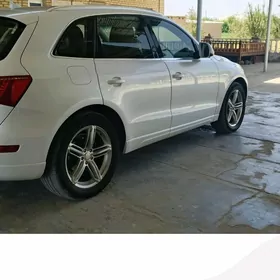 Audi Q5 2010