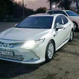Toyota Camry 2019