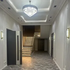 anew  kotej tipp full