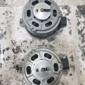 Fort Expedition lopus matorcik