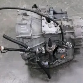 каропка 3 матор