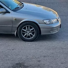 Grand Babycka Diska Argent sep