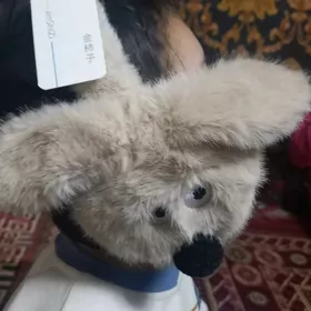 cagajyklara gulaga dakylyan