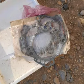 TATYRA galowka proklatka