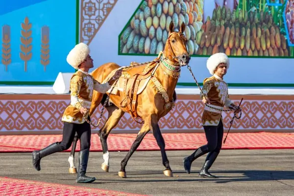 Труженики села подарили президенту Туркменистана ахалтекинского жеребца
