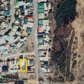 Coganly howly 6 sotak plan