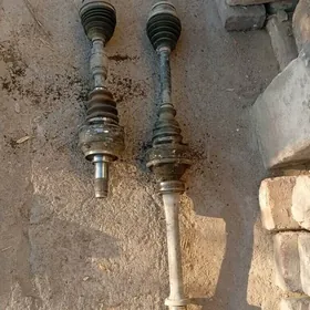 Avlon titnik 3.5 lyk kyrnat