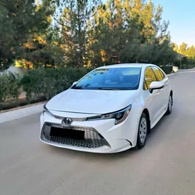 Toyota Corolla 2020