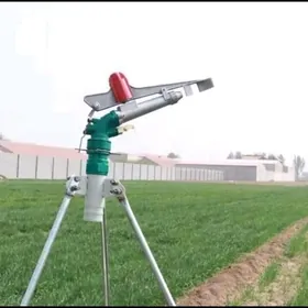 Suw Sepyen Дождевик